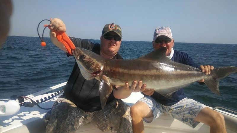 Fishing Charters in Tampa Bay and near shore Gulf of Mexico Rate is for 2 people. Each extra person is $50 each.